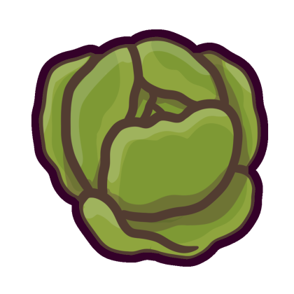 Cabbage