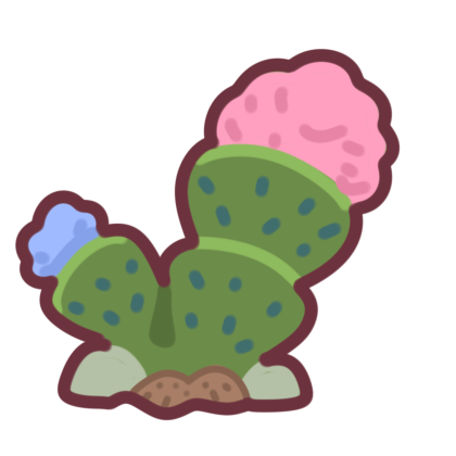 Cotton Candy Cactus