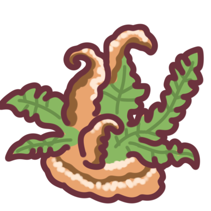 Funnel Cake Fern