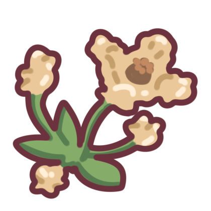Popcorn Poppy