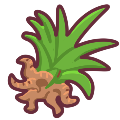 Rush Root