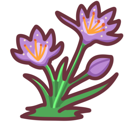 Saffron Crocus